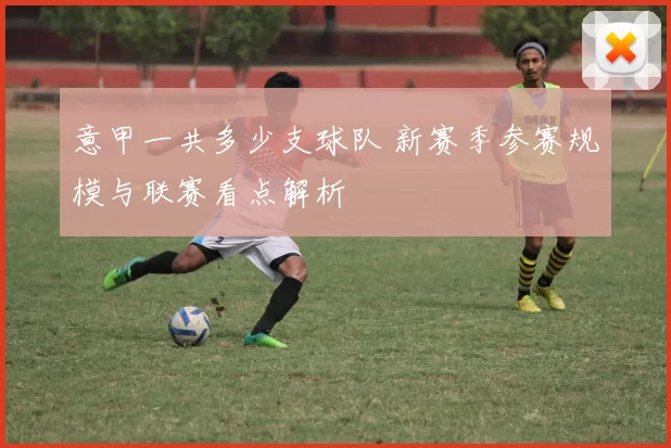 意甲一共多少支球队 新赛季参赛规模与联赛看点解析