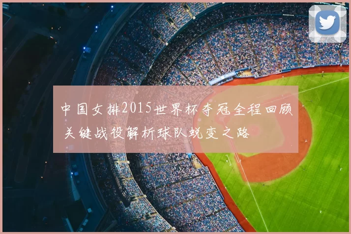 中国女排2015世界杯夺冠全程回顾 关键战役解析球队蜕变之路