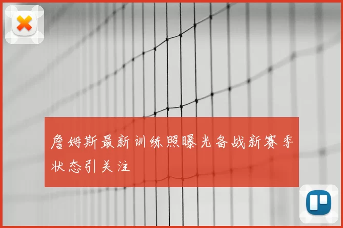 詹姆斯最新训练照曝光备战新赛季状态引关注