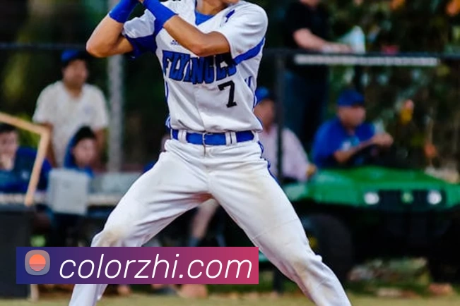 8868在线官网登录入口 - 8868.com - 官方网站首页服务体系